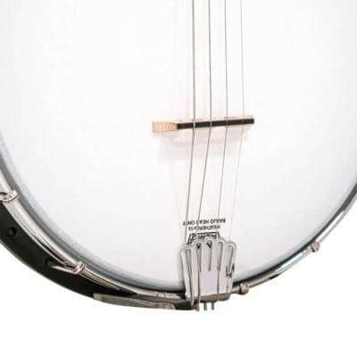 BANJO 4 Cordes GOLD TONE AC-4 - ténor open back image 3
