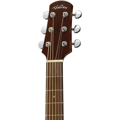 Walden Standard Orchestra Acoustic Gloss Natural image 3