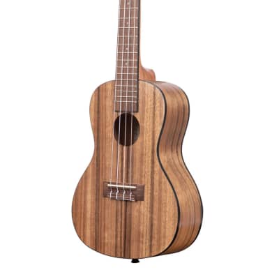 Kala Pacific Walnut Concert Rosewood for sale
