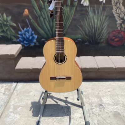 Ortega Family Series R121 Acoustic Guitar image 1