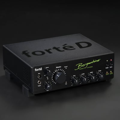 Bergantino Forte 800-Watt Bass Head | Reverb