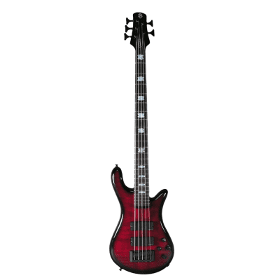 Spector ReBop 5 DLX | Reverb