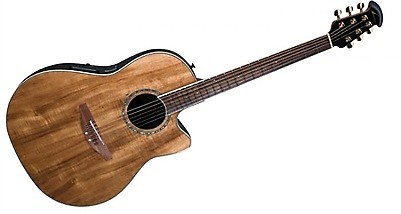 Ovation sales cc24 price
