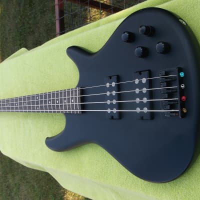 Ibanez SDGR SRT800DX Flamed Amber Bass Guitar ! | Reverb Canada
