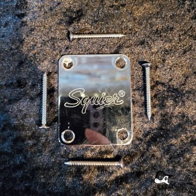 Squier Neck Plate w/ Screws (2010-20s - Silver)
