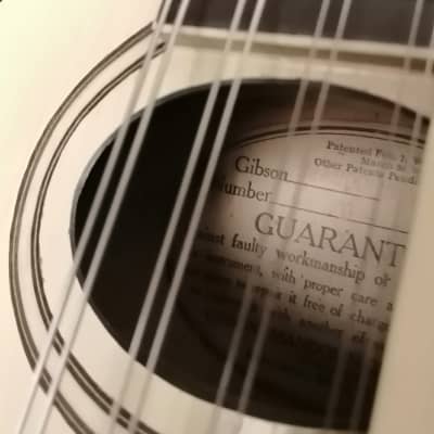 Gibson Mandoline A3 1919 - Ivory image 9