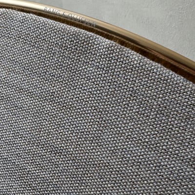 Bang & Olufsen Beosound A9 5th Gen Natural Aluminium image 3