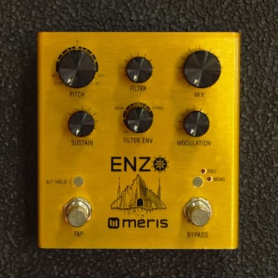 Reverb.com listing, price, conditions, and images for meris-enzo