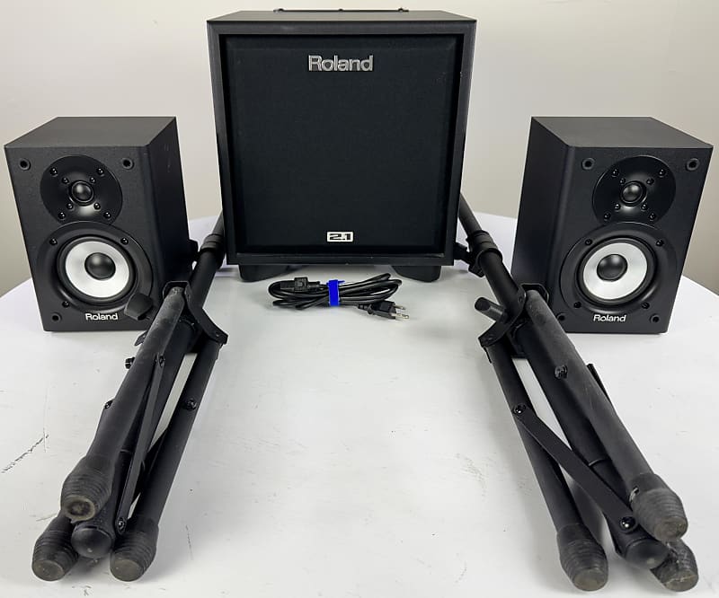 Roland 2.1チャンネル モニター システム CUBE CM-110 Amazon | Roland ローランド 2.1チャンネル モニター システム