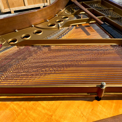 Steinway & Sons M model 5'7'' mahogany grand piano image 10