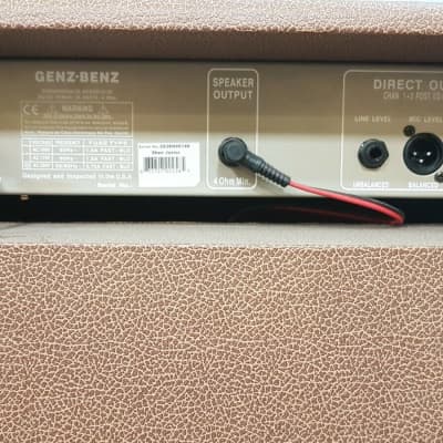 Genz Benz Shenandoah Jr 35 Watt Acoustic Amplifier image 3