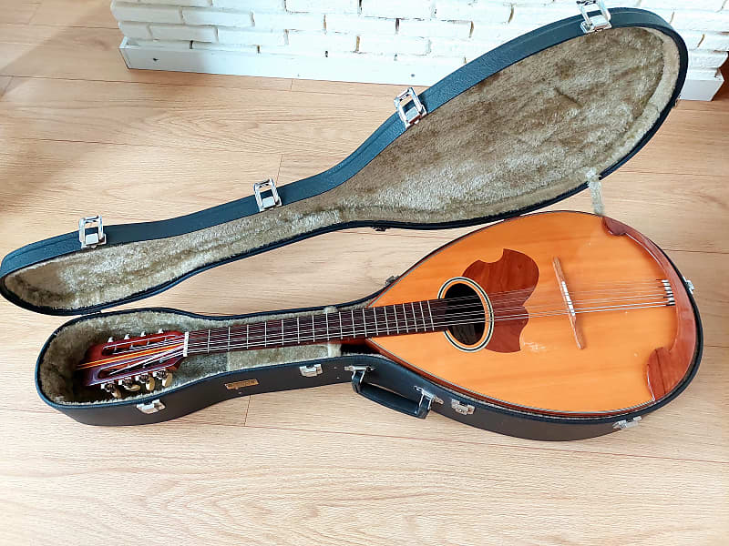 SUZUKI MANDOCELLO スズキ マンドチェロ MC-836 Suzuki MC-836 Mandocello / Mandoloncello | Reverb