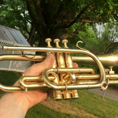 EXCELLENT SPECIAL ORDER LP CORNET F. BESSON BREVETE NEW CREATION 1923 GOLD PLATED LOVELY ENG. TO THE TOP / GREAT COMPRESSION image 4
