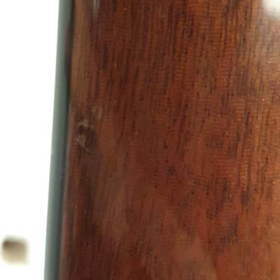 Froggy Bottom F14 (indian rosewood/ adirondack) (EU Shipping now possible) image 12