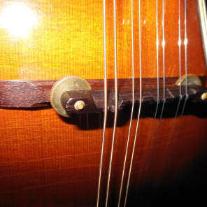 Gibson A-50 Mandolin 1956 Sunburst image 13