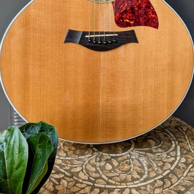 Taylor 615 1997 Solid Maple Acoustic Jumbo Guitar(Gibson J200 killer) image 2