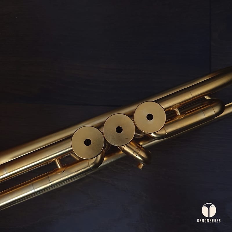 Monette LT C Gold Plated trumpet, case, mouthpiece Monette LT C Gold Plated trumpet, case, mouthpiece