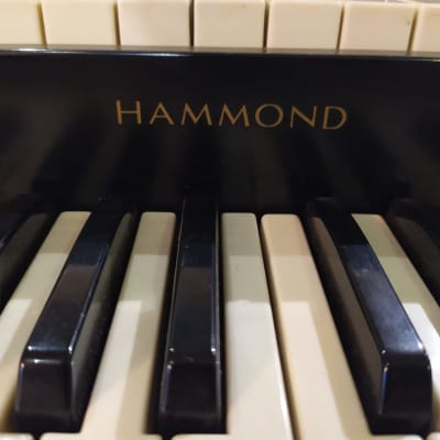 Hammond A102 - White image 13