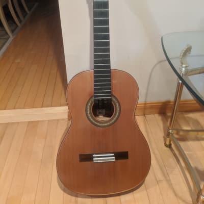 Giannini GWNC4 Classical Guitar Special Edition image 2