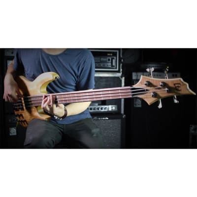ESP LTD B-204SM Fretless Bass Guitar - Natural Satin image 6