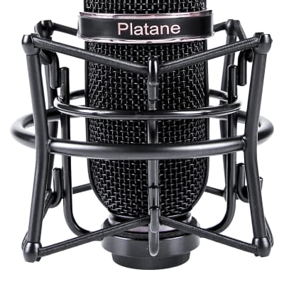 Platane Pepper image 2