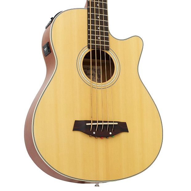 Ibanez 5 string acoustic bass outlet