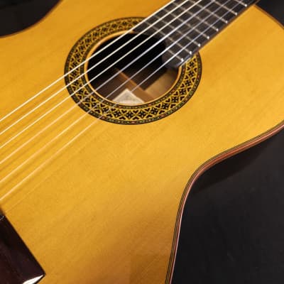 Alhambra Premier Pro Madagascar Javier Mengual Classical Guitar w/Hard Cse image 9