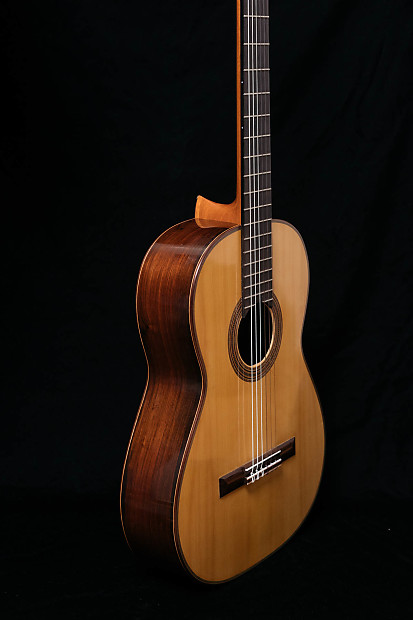 Fritz ober clearance guitar for sale