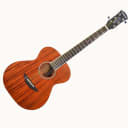 Orangewood Dana M Model Acoustic Guitar w/ Gig Bag - Used