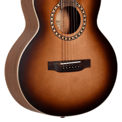 Teton STR100DVS-OP 3/4 Range Solid Spruce Top Mahogany Neck & Back/Sides 6-String Acoustic Guitar image 1
