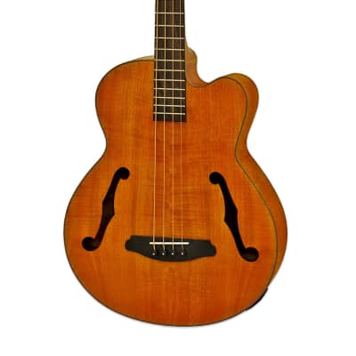 Aria FEB-F2M-STBR Medium Scale Fretted Stained Brown Acoustic Bass for sale