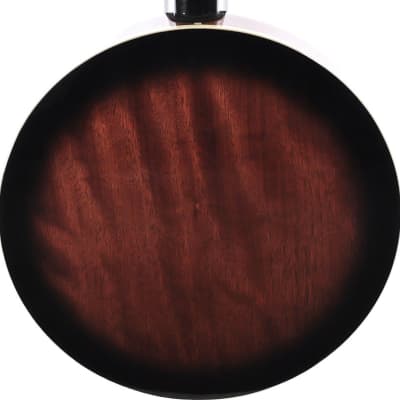 Dean BW6 Backwoods Hybrid 6-String Banjo image 5