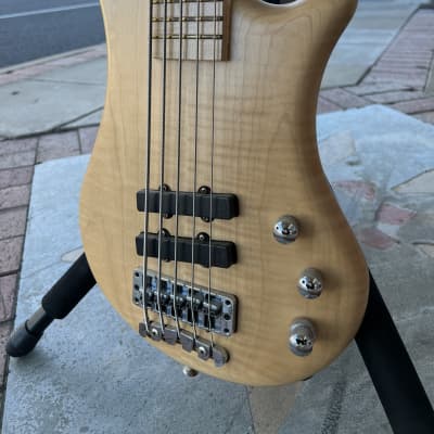 WARWICK THUMB SERIES Bass Guitars for sale in the USA | guitar-list