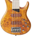 MTD Kingston Bass Guitar Z 5 String, Maple Fingerboard