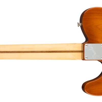 Fender American Performer Telecaster, Rosewood Fingerboard, Honey Burst image 2