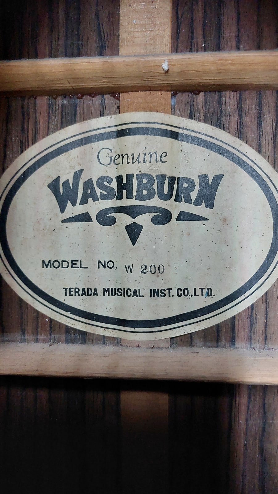 Washburn W-200