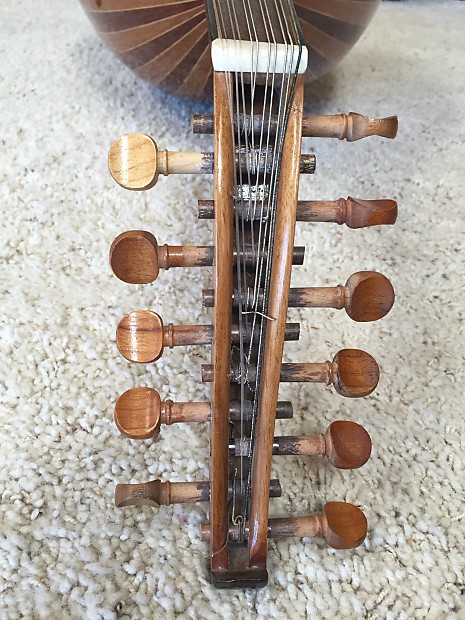 Fretless lute top