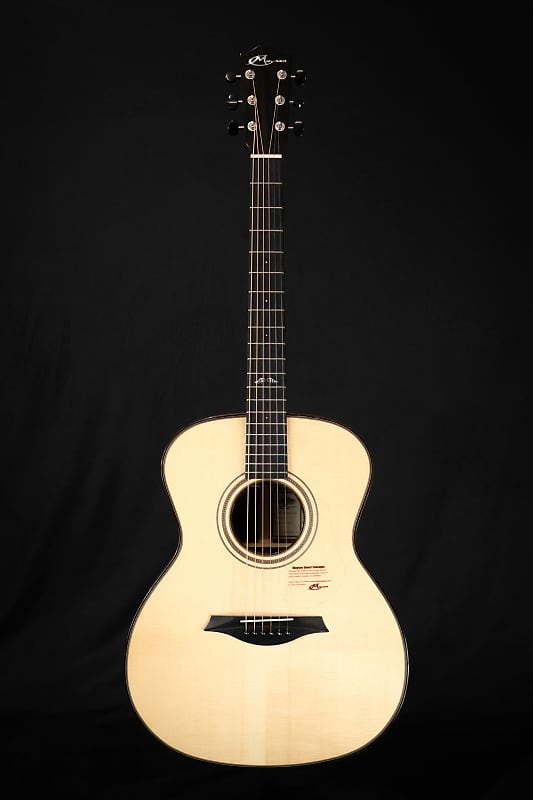 Mayson Artist Series MS9 Acoustic Guitar image 1