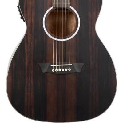 Washburn DFEFE-U Deep Forest Folk Acoustic/Electric Guitar Striped Ebony image 11