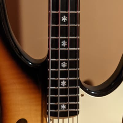 Benedict Groove Master Bass - Neck Through - BEAD Tuning image 2
