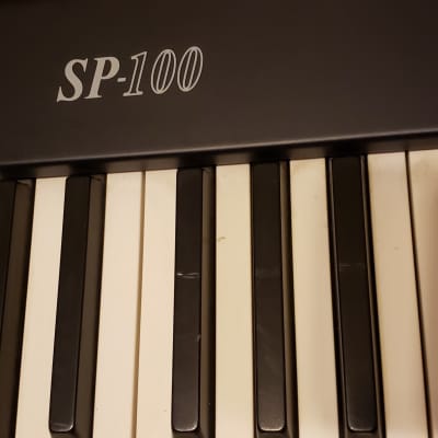 Korg SP-100 Digital Piano-88 Weighted Keys | Reverb