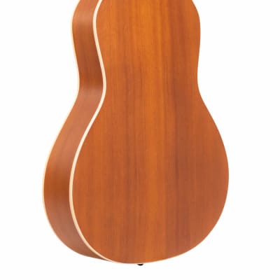 Gold Tone GT-Weissenborn Hawaiian-Style Slide 6-String Acoustic Guitar with Gig Bag image 5