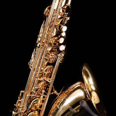 Selmer STS411 Step-Up Tenor Saxophone Outfit-Lacquer image 7