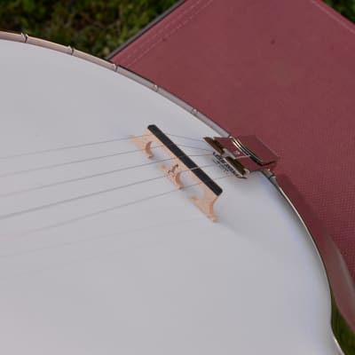 Capek Scarab five string (flathead + archtop tone ring) image 11
