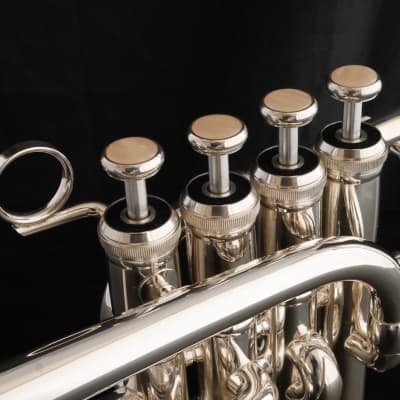Immagine Brasspire Unicorn Piccolo Trumpet: Amazing Value and Performance! - 6