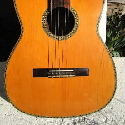 Giannini AWN 300 Classical Guitar, 1970's, Brazil, Rosewood, Very Ornate, Case image 3