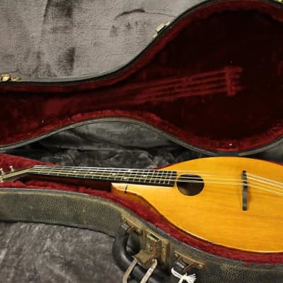 1924 Gibson A Jr Mandolin Loar-Era image 10