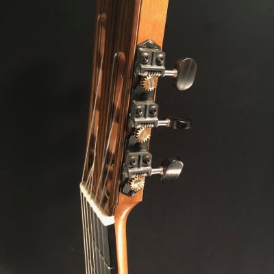 Richard Prenkert 7-String Guitar #401 2019 image 7