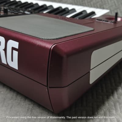 Korg PA1000 61-Key ✅ Professional Keyboard Arranger✅ Cleaned & Full Checked ✅ image 13