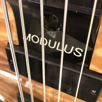 Modulus 2006 Quantum Graphite 5 String Fretless Bass with Case - Pre Owned **Read Description** image 12